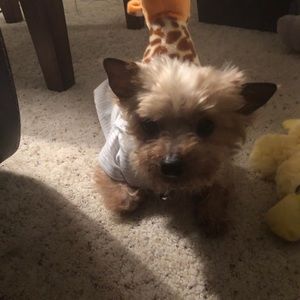 Meet your Posher, Madison